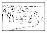 Coloring Horse Horses Herd Pages Drinking Creek sketch template
