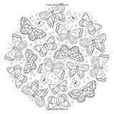 Coloring Mindful Pages Colour Colouring Butterfly Insect Amazon Butterflies Books Mandala Choose Board sketch template
