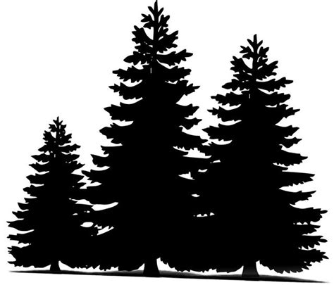 image  pixabay pine trees christmas sillueta christmas tree silhouette pine tree