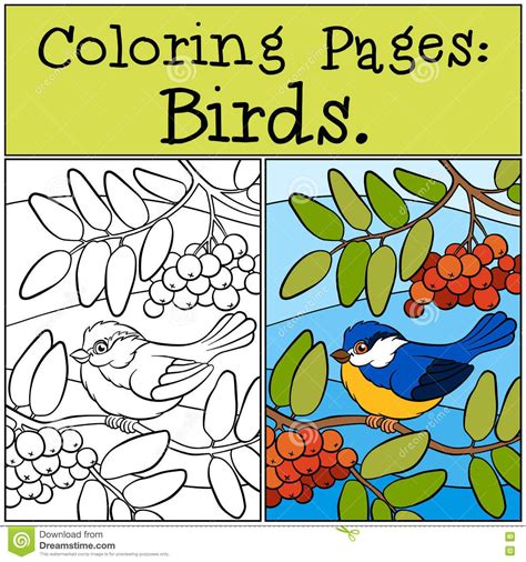 coloring pages  kids coloring books ways  relax freepik birds