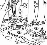 River Coloring Forest Pages Awareness Inspire Conservation Water Kids sketch template