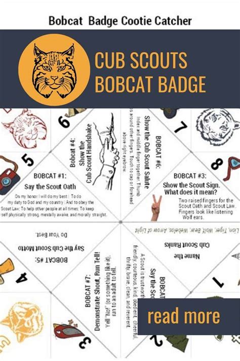 bobcat requirements printable