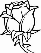 Coloring Pages Flower Rose Big Bud Flowers Cute Color Simple Easy Familyfuncartoons Variety Dark Adults Draw sketch template