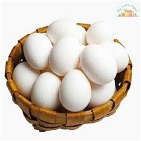 white eggs broiler chicken animal crop production  amethi