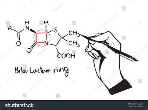 beta lactam ring penicillin chemical structure stock vector