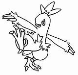 Combusken Torchic Treecko Coloriages Pokémon Ausmalen Dessins sketch template