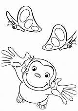 Ausmalbilder Neugierige Affe Ausmalbildermalvorlagen sketch template