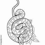 Boa Hellokids Reptiles sketch template