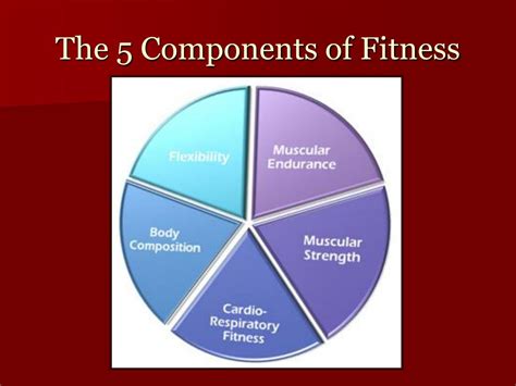 exercise  lifelong fitness powerpoint