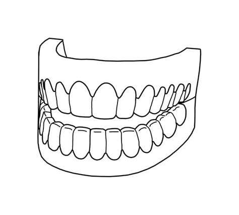 picture  full teeth  dental health coloring page dental health