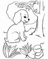 Beagle Coloring Pages Puppy Cute sketch template