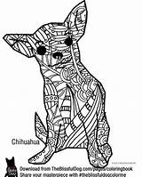 Chihuahua Chihuahuas Blissful Zentangle Chien Tête Mandalas Theblissfuldog sketch template
