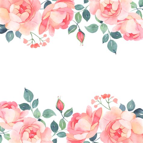 transparent backgrounds  canva