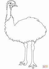 Emu Ausmalbild Ausmalbilder Kleurplaat Kategorien Categorieën sketch template