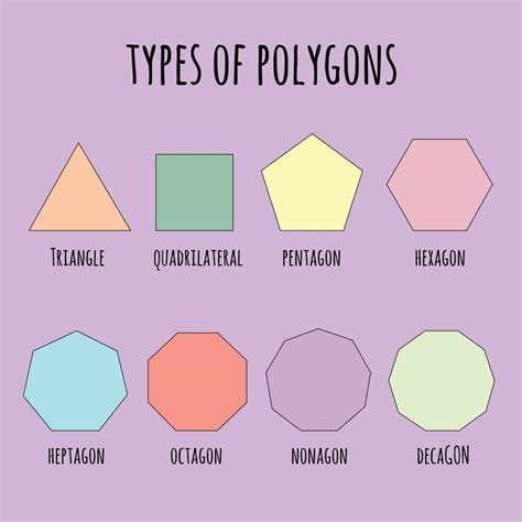 types  polygons  vector art  vecteezy