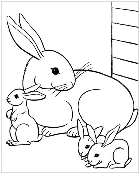 rabbit bunnies coloring pages  kids rabbits bunnies kids