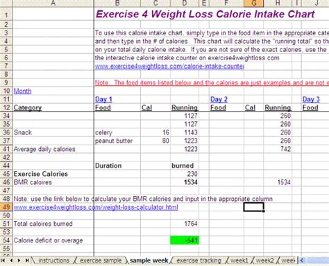 calorie intake chart weight loss tracker  exercise tracker