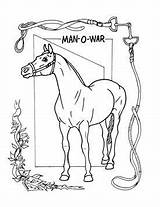 Horse Breyerhorses Breyer sketch template