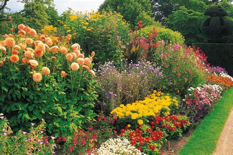 grow  summer garden  zealand handyman magazine
