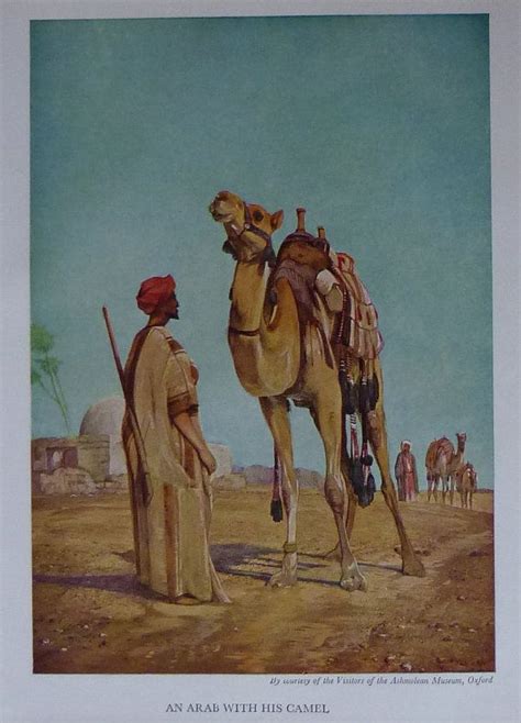 1954 Vintage Print Of An Arab With His Camel Arabic