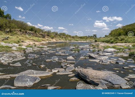 tanzania river stock image image  grass color drive