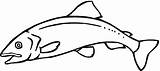 Salmon Sockeye Library Catfish Shark Cartoon Coloring Clipart sketch template