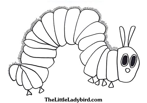 hungry caterpillar coloring pages   hungry caterpillar coloring