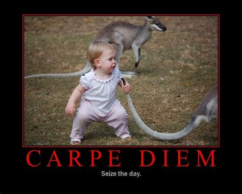 Carpe Diem Seize The Day Photo By My Wife Created With Flickr