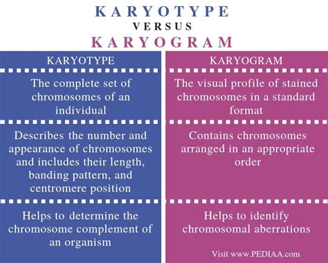 What Is The Difference Between Karyotype And Karyogram Pediaa Com