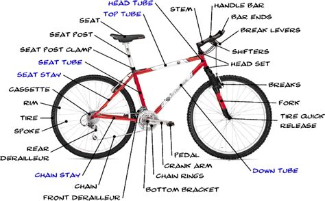 bike anatomy hightstown nj bicycle rack mountain bike parts mountain bike frames bicycle