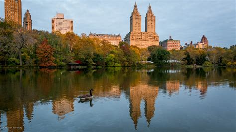 incomparable beauty   lake  central park photo essay