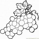 Grapes Coloring Grape Pages Printable Color Fruits Food sketch template