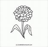 Zinnia Flower Clipart Drawing Outline Coloring Flowers Popular Getdrawings Paintingvalley Clipground Coloringhome sketch template