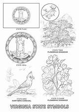Virginia Coloring State Pages Symbols Printable Color Bird Flower Flag Designlooter Choose Board 1020 9kb 1440px sketch template