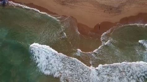 palm beach drone youtube