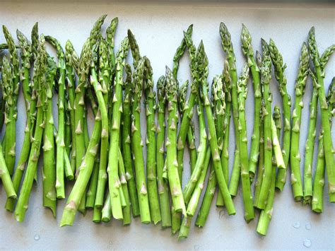 diy growing asparagus   grow asparagus  seeds  crown harvest