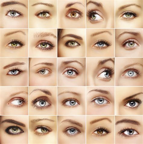 eye color discovery eye foundation