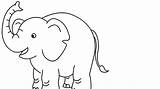 Gajah Sketsa Hewan Untuk Mewarnai Warnai Paud Mudah sketch template