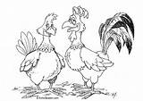 Coloring Hen Rooster Gallina Gallo Dibujo Para Bilde Colorear Hahn Henne Malvorlage Und Pages Og Hane Fargelegge Edupics Large Høne sketch template