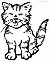 Cats Colouring Kitty Coloringfolder sketch template