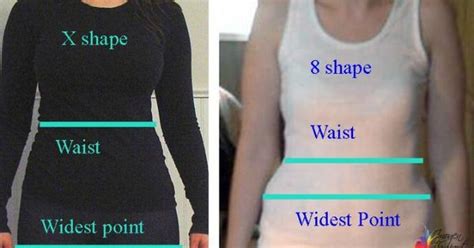 Body Shapes Explained Figure 8 Shape Hourglass Shape