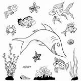 Kolorowanki Ryby Fishes Peces Kleurplaten Vissen Mewarnai Rybki Akwarium Stockillustratie Druku Ilustracja Grafika sketch template