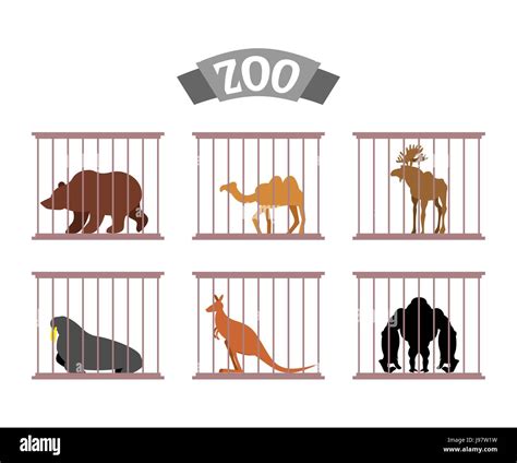 zoo animals  cages cut  stock images pictures alamy