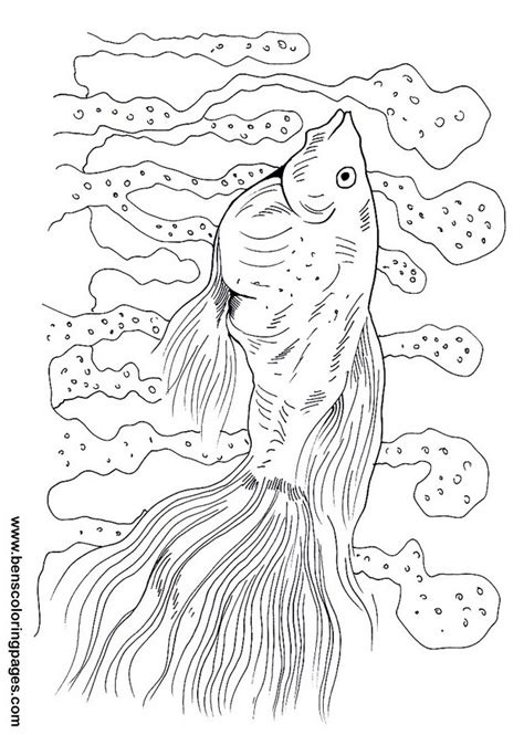 guppy fish  page  color