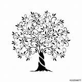 Tree Olive Coloring Outline Vector Silhouette Curl Graphics Stock Illustration Icon Drawing Pages Isolated Background Getcolorings Ba Getdrawings sketch template