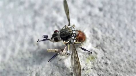 mosquito drone military priezorcom