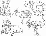 Animals Animal Coloring Pages sketch template