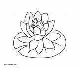 Lily Coloring Flower Pad Pages Water Printable Drawing Flowers Getdrawings Lilly Dot Drawings Color Draw Paintingvalley Getcolorings sketch template
