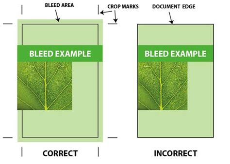 indesign  document settings bleeds crop marks brady mvcc