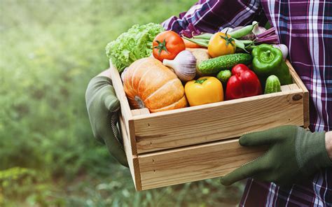 health  environmental benefits  eating locally
